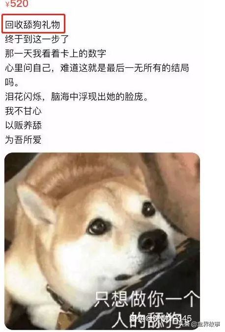 舔狗的人怎么挽回,如何挽回舔狗的心