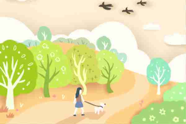 挽回属兔天秤女,如何挽回属兔天秤女？