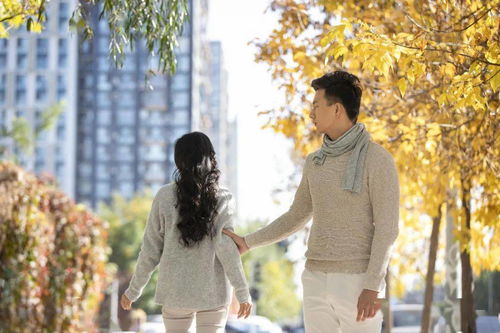 男友分手求挽回小说,失恋后的挽回故事