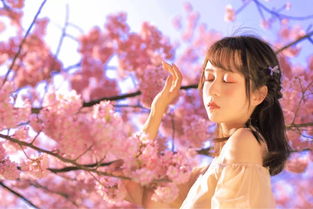 失恋可以挽回的说说,如何挽回失恋的爱情