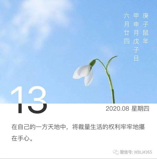 挽回后又想放弃了,从成功到失败，我该如何选择？