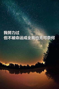 放下了还要挽回嘛,结束了还有挽回的必要吗？