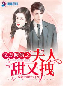 快穿挽回老婆的小说,快穿逐梦挽爱路