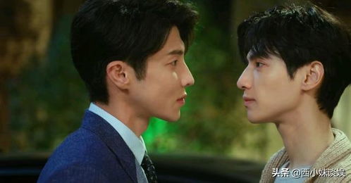 总裁试图挽回吴桐,总裁拼命追求失去的爱情