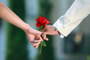 断联怎么挽回不了,如何成功挽回断联？