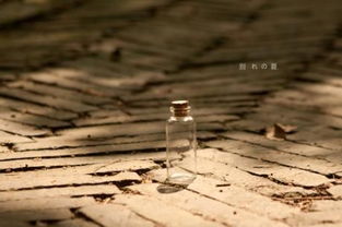 双子放下了怎么挽回,双子情路终结，如何挽回？