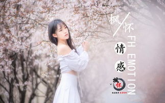 前任挽回攻略盛丽,如何挽回前任，攻略分享