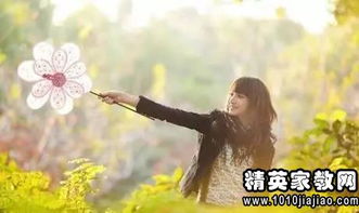 朝花夕拾情感挽回机构,情感挽回机构：记忆拾起，美好重现