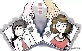 外汇骗局怎么挽回老婆,如何挽回被外汇骗局伤害的婚姻