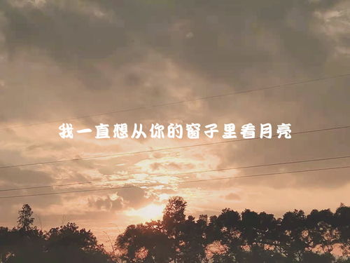 没有挽回的余地说说,无法挽回的局面