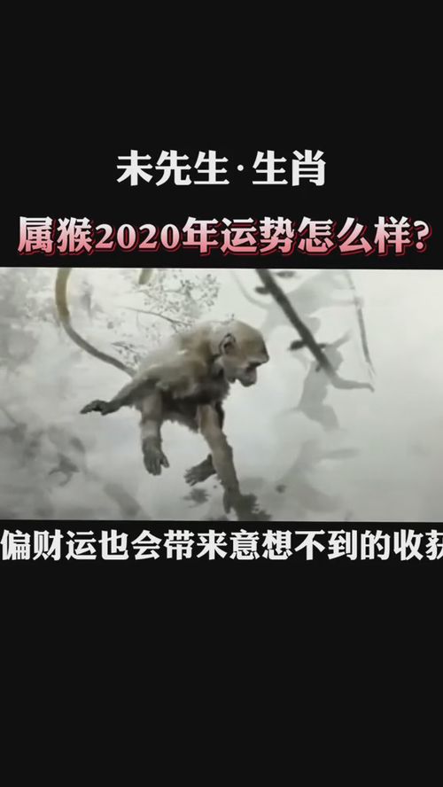 属猴男怎么挽回,失去了属猴男，如何挽回？