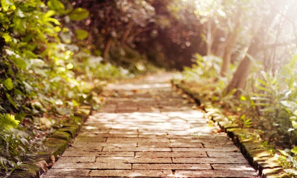 挽回友情的话图片唯美,挽回友谊，唯美的话再次拉回距离