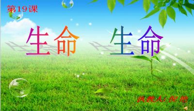 怎样挽回小草的生命,如何拯救小草的生命