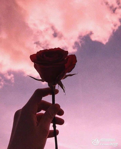 尽力局和挽回局,尽力挽回的最佳选择