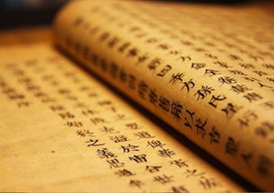 无法挽回佛说,挽回希望：从佛家智慧中寻找