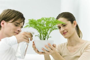 精神出轨情感挽回费用,挽回婚姻的成本大揭秘