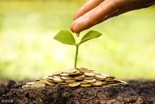 怎样挽回小草的生命,如何拯救小草的生命