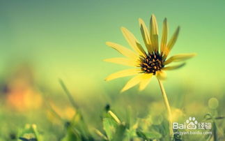 如何挽回付出的金钱,如何挽回花掉的钱