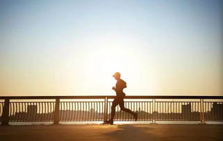 逆反心理的挽回,成功挽回爱情的逆反心理