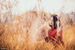 前妻挽回前夫心情不好,前妻心情沮丧，想挽回前夫