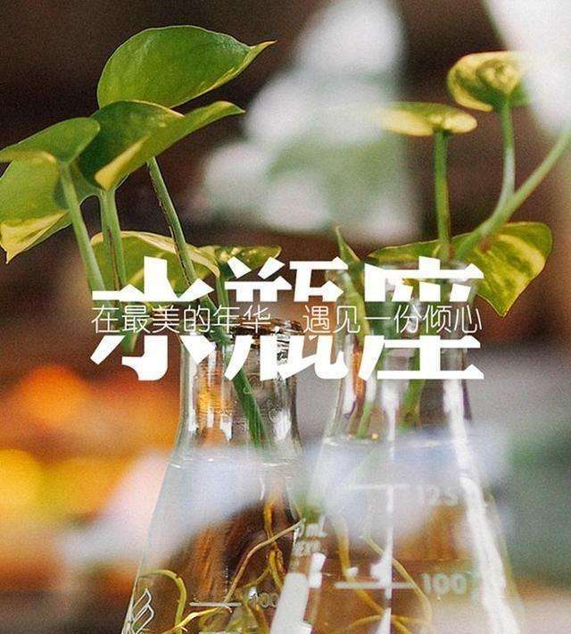 如何挽回分手的水瓶,赢回水瓶座的心——挽救爱情的方法