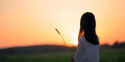 背叛后的感情挽回,背叛后的感情拯救