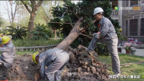 安家如何挽回林茂,安家如何成功挽回林茂→安家挽救林茂的秘诀