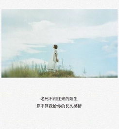 挽回亲情的句子照片,用一张照片触动亲情