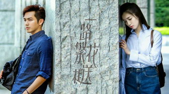 汤泽杨挽回之路,汤泽杨的复出之路