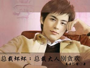 重生之挽回总裁大人,挽回