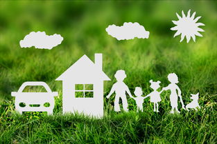 用生命挽回的爱,爱的力量重生生命