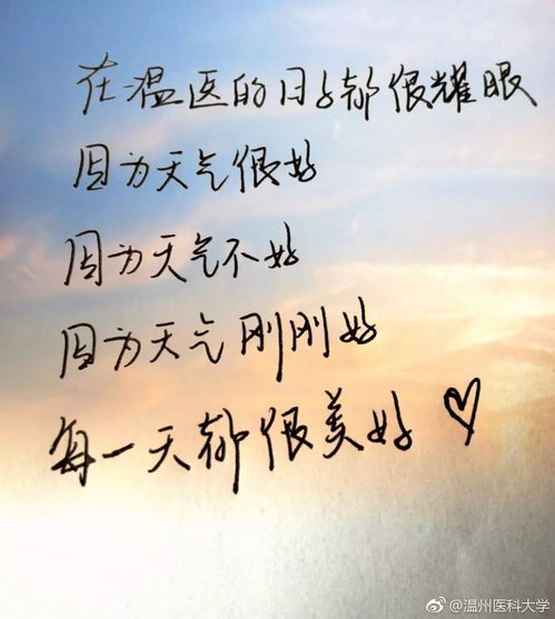 挽回不了的文字,挽救无望，懊悔难追