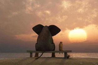 能挽回友谊的句子,重修旧好，挽回友谊