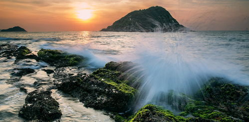 山水蒙问挽回感情,挽回爱情，如山水蒙问