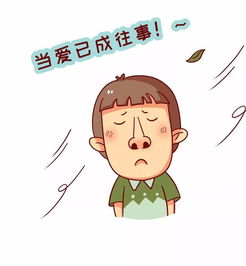 怎么挽回金牛前任,如何成功挽回金牛座前任？