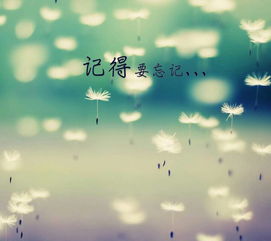 朝暮情感挽回可信吗，挽回爱情：黄昏与拂晓的情感真相