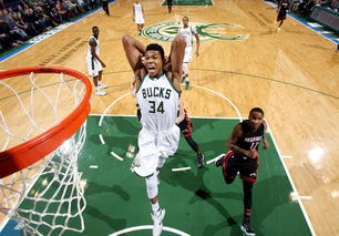 字母哥挽回雄鹿了吗,字母哥挽回失宠的雄鹿？