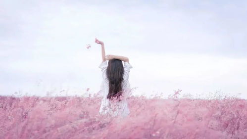 谈婚论嫁突然分手怎么挽回,失恋后如何挽回爱情