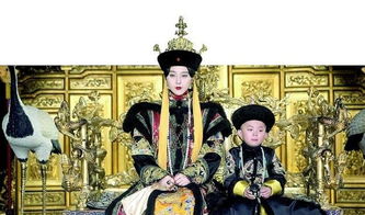 皇上挽回太后的小说,皇上悔改赎错，太后扶持共治