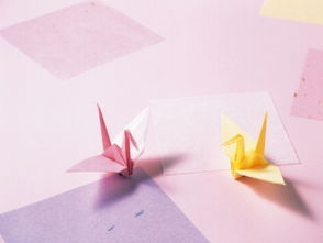 如何挽回千纸鹤,挽回爱情之路：千纸鹤计划