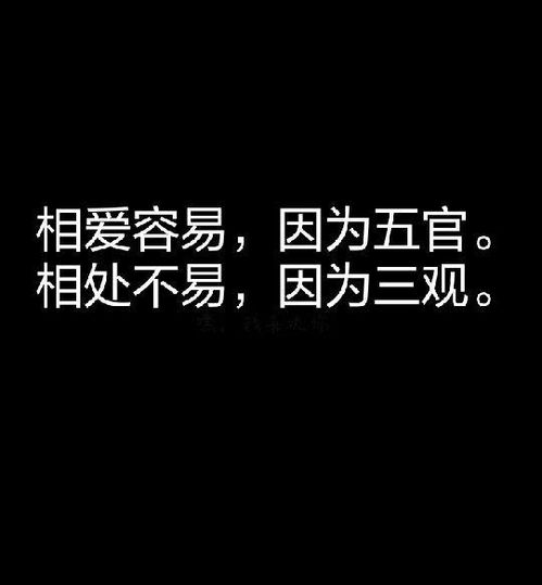 拼命挽回不可理喻,拯救荒谬情感：无畏奋斗
