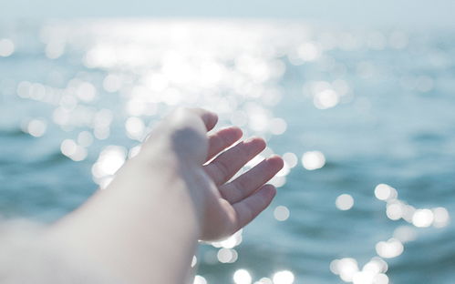 如果时间可以挽回资源,重拾流逝的时光：时间倒流计划