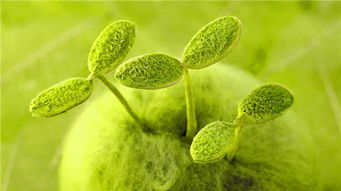 挽回爱情图片背景治愈,挽回感情需用正确方法