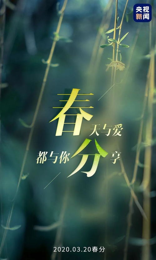 挽回后回不到从前,如何重新定义从前？