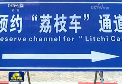 政府泄密后怎么挽回,重整旗鼓，政府如何应对泄密