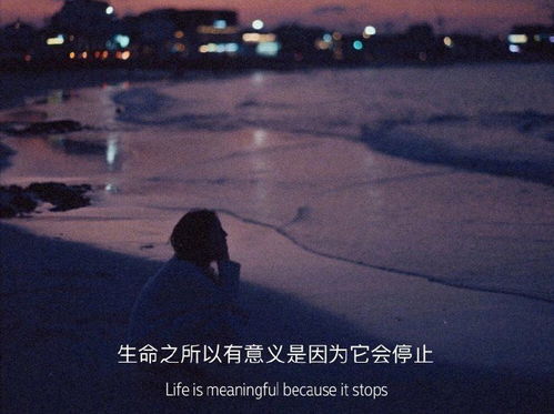 暗示还想挽回的诗句，试图挽回，情已逝，何所相依？新标题：追悔莫及，爱已远走