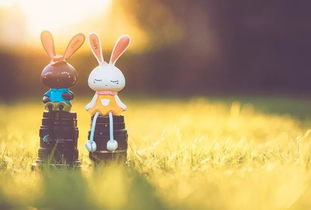 心里还喜欢却不挽回,错过爱情，永远的遗憾。