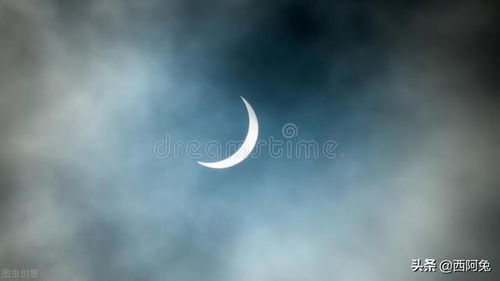 水瓶座不能挽回,水瓶座失去的爱情难以挽回