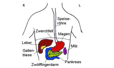 如何挽回身体关系,如何修复身体关系
