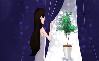 男生希望女友挽回,男生期盼女友回心转意